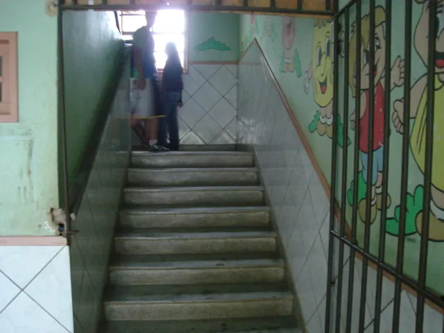 Reforma de escola no Pantanal, foto 4