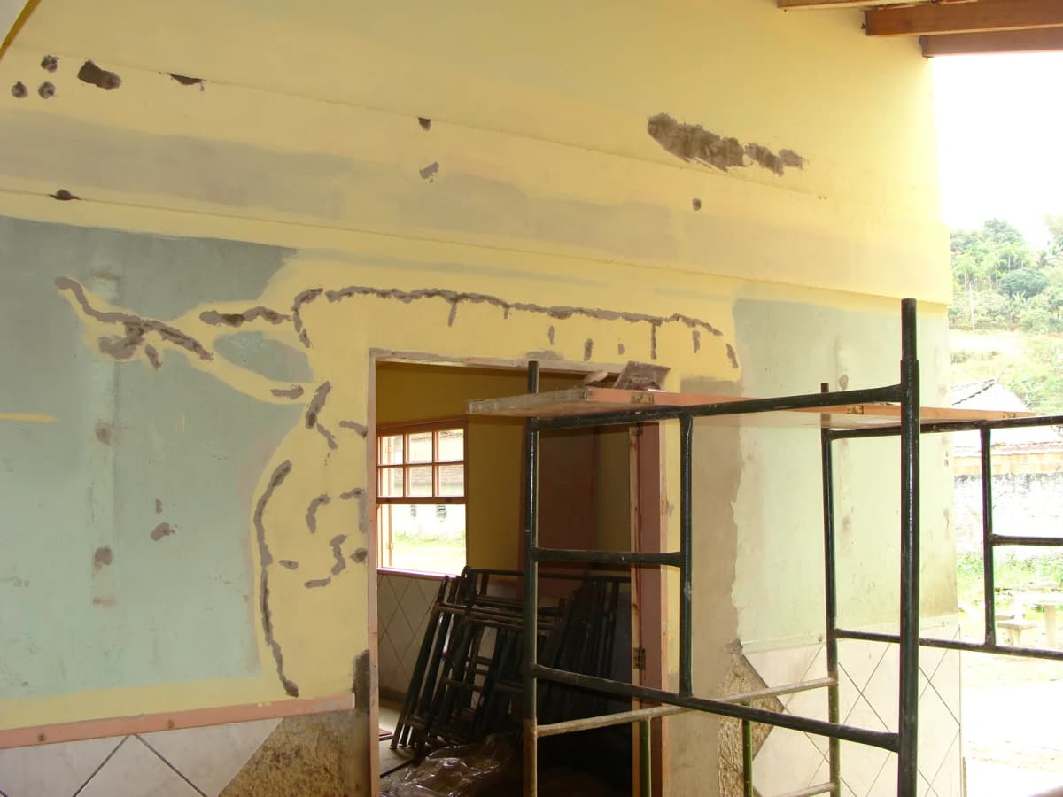 Reforma de escola no Pantanal, foto 14