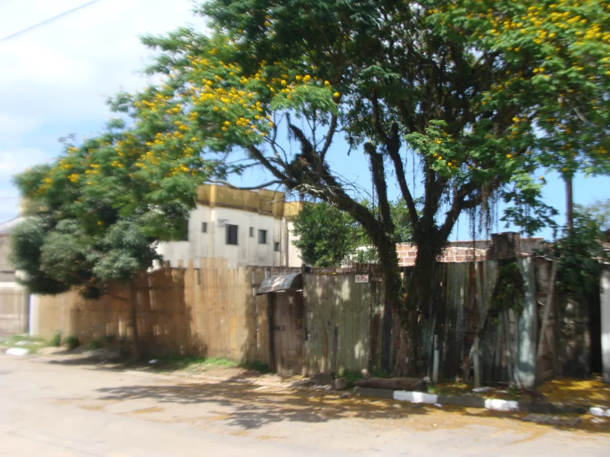 Condomínio Pura Vida, foto 18